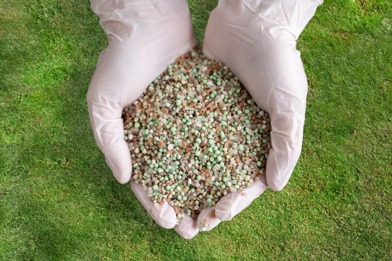 Granular Fertilizer