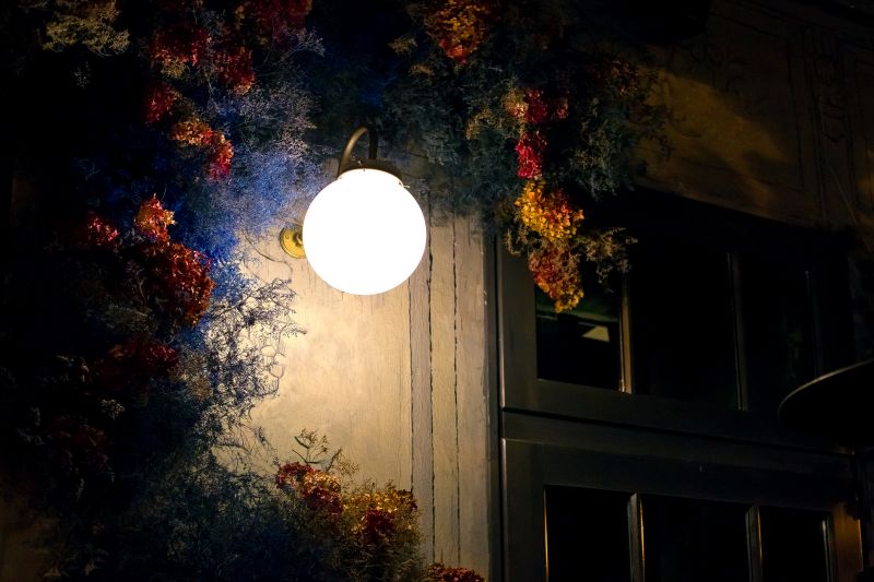 Courtyard Light Installation in Littleton, CO