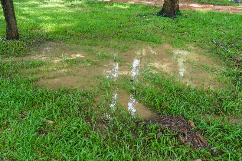 Lawn Damage from Improper Cleanup