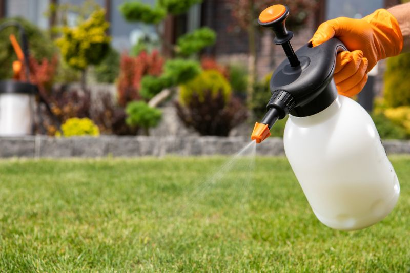 Lawn Fertilizing