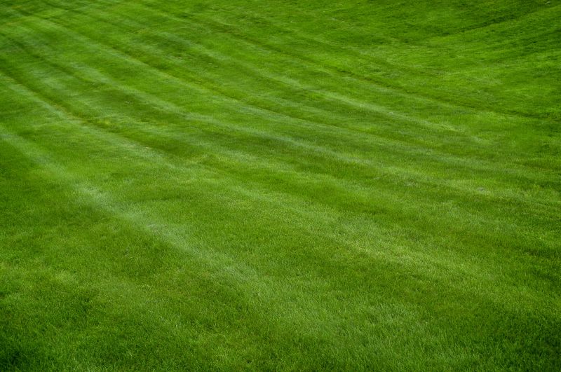 Healthy Lawn Result