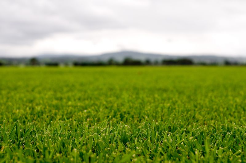 Customized Lawn Plans